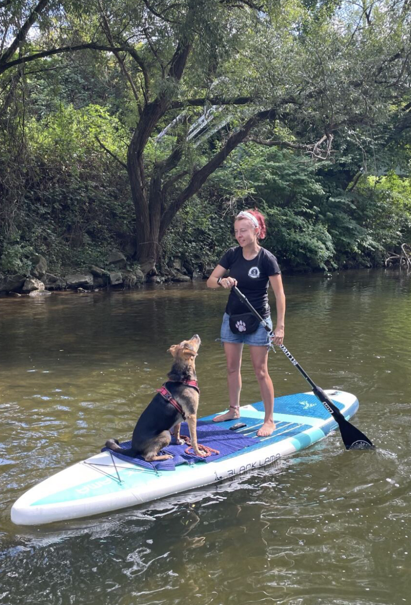 Stand Up Paddeln mit Hund